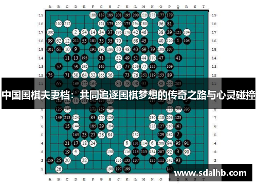 中国围棋夫妻档：共同追逐围棋梦想的传奇之路与心灵碰撞