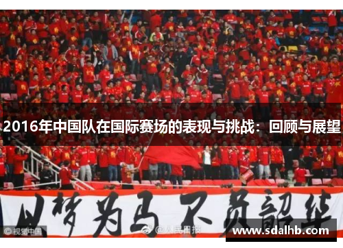 2016年中国队在国际赛场的表现与挑战：回顾与展望